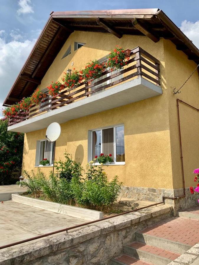 Casa Ramona Apartment Turda Exterior photo