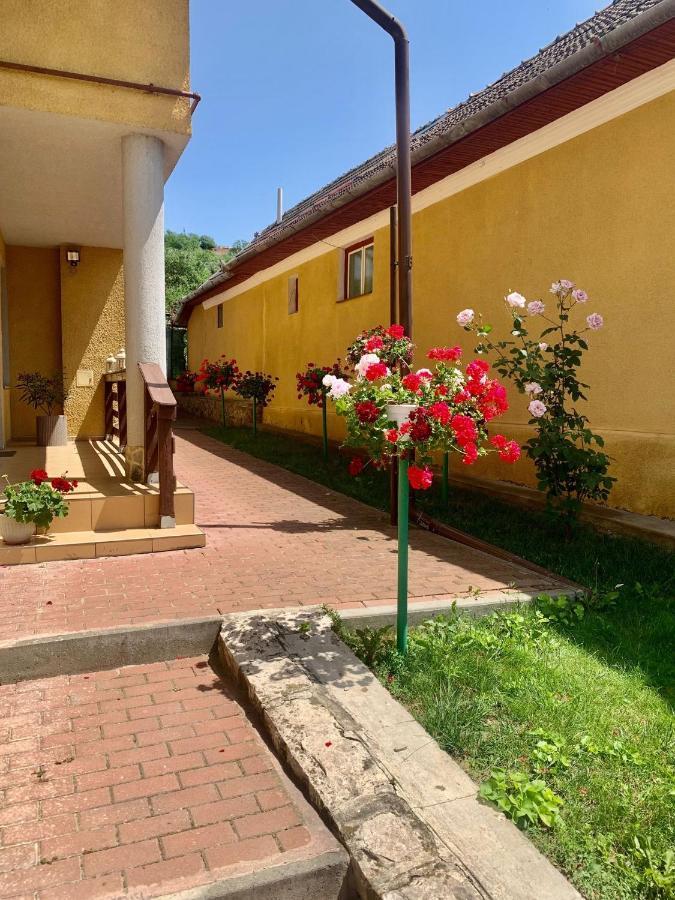 Casa Ramona Apartment Turda Exterior photo